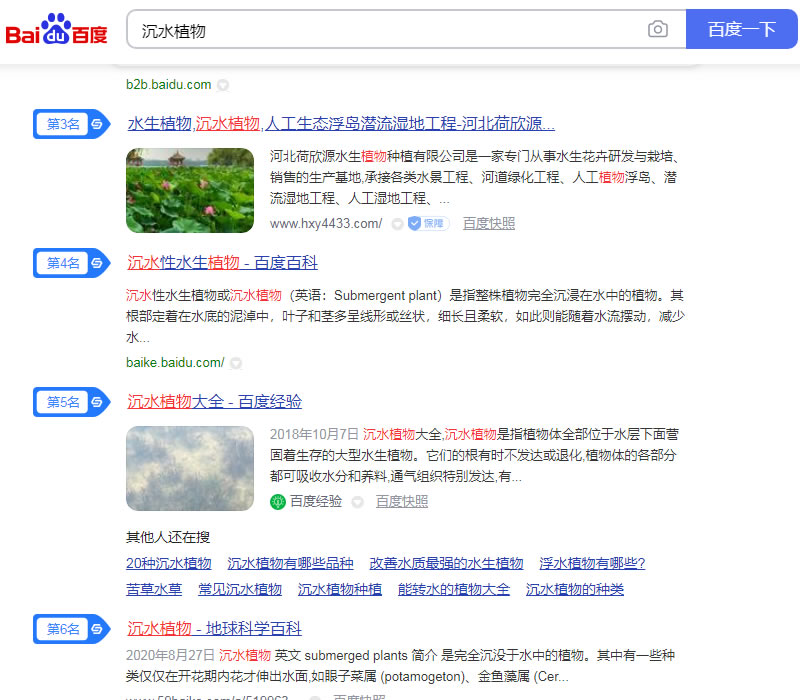 沉水植物優化案例