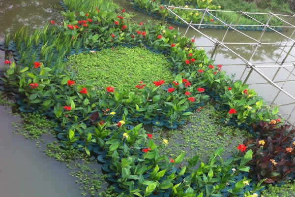 沉水植物響應式網站建設